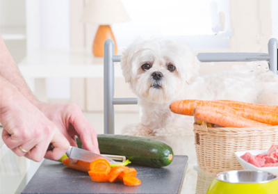 Alimentação Natural para Cães - PetNut