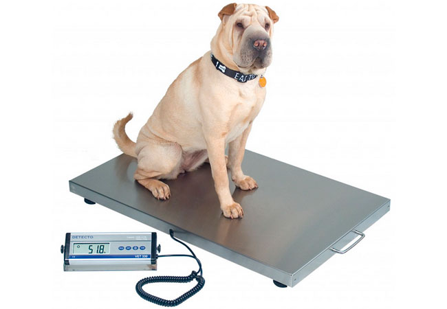 Peso Ideal do Cachorro - PetNut Nutrição Pet