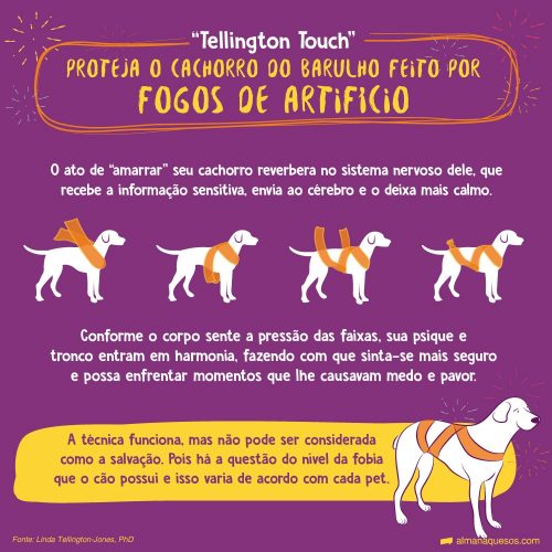 Como Proteger seu Pet dos Fogos de Artifício - PetNut